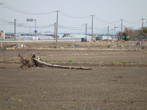 ファイル 1084-4.jpg