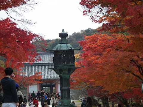 ファイル 1476-5.jpg