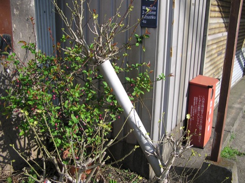 ファイル 640-5.jpg