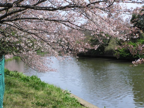 ファイル 653-3.jpg