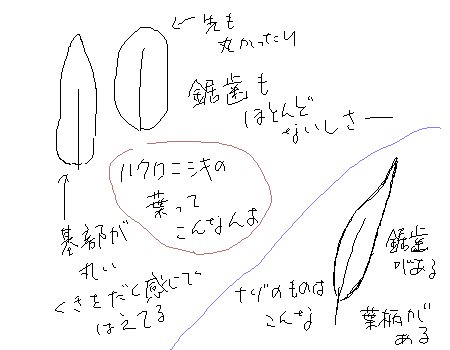 イラスト 12.png