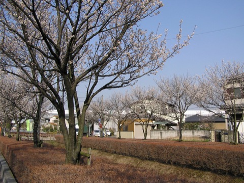 ファイル 623-1.jpg