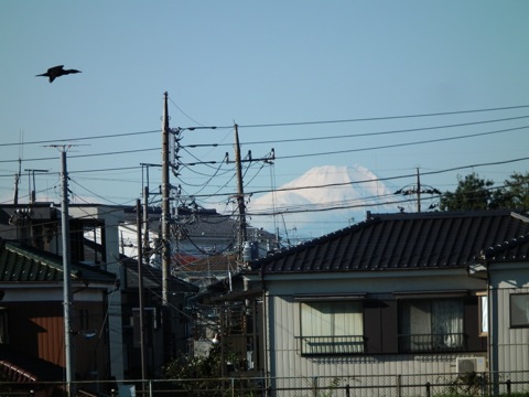 富士山