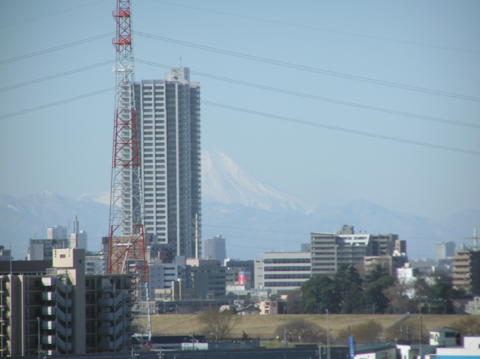 富士山