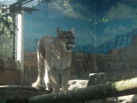 天王寺動物園