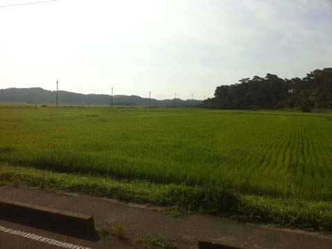 代行バスから見た風景