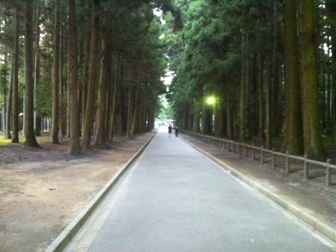 瑞巌寺参道