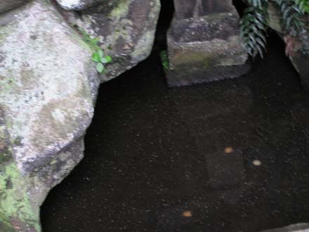 秋の光も発生地