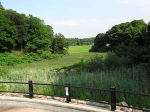 牛むぐり池