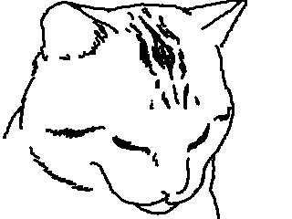 額の模様