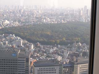 緑濃いところは代々木公園