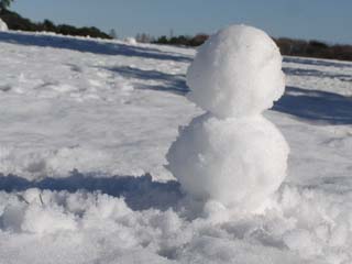 雪だるまの作成は都民のつとめ