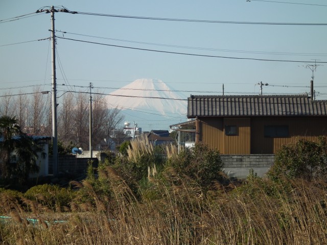 富士山：水元五丁目