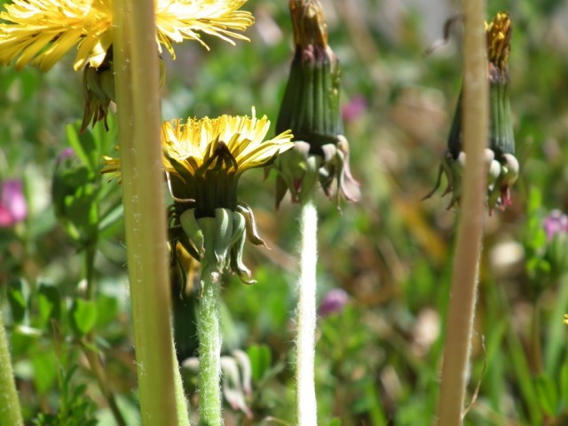 DSCF9858s