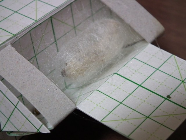 DSCF0063s