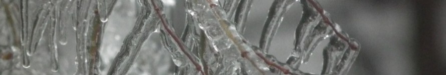 DSCF0544s