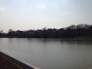 IMG_0686s