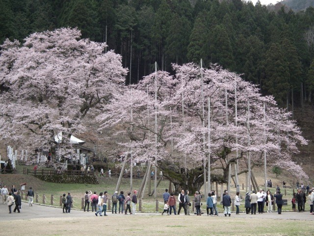 DSCF2021s